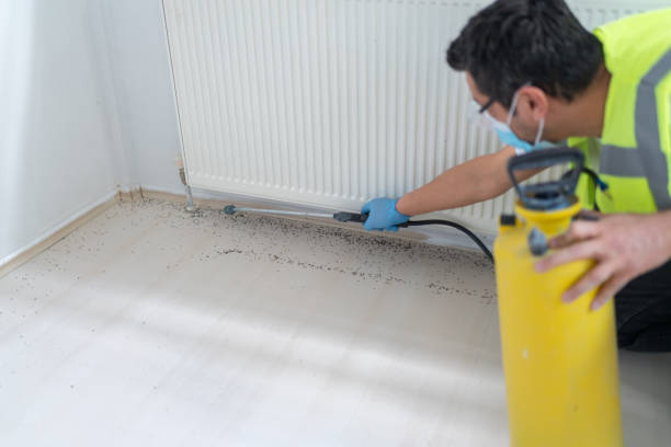Best Pest Inspection Near Me  in Saint Davids, PA